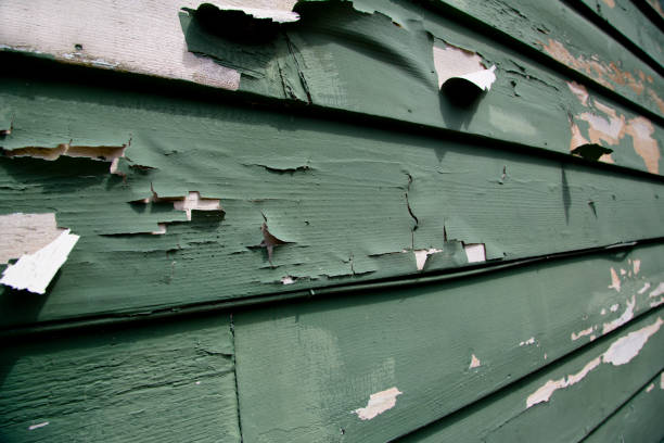 Storm Damage Siding Repair in Lookout Mountain, AL